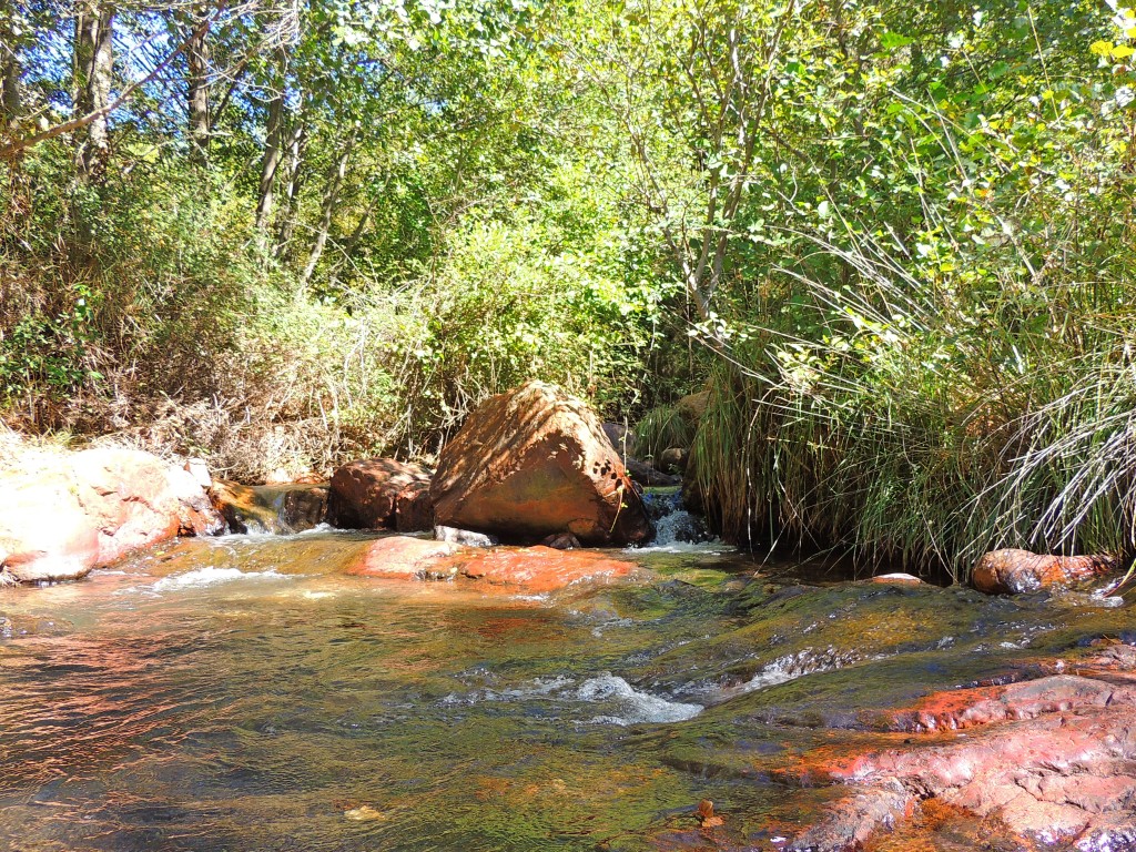 Foto de Río Ruecas (Cáceres), España