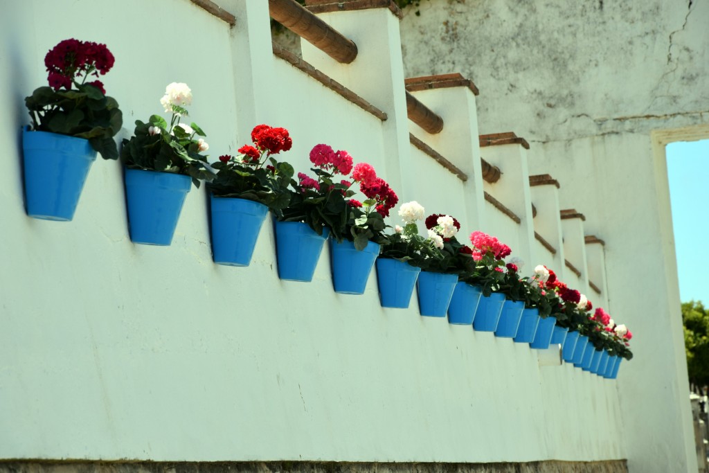 Foto de Facinas (Cádiz), España