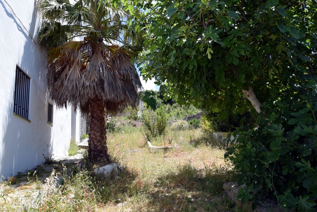 Foto de Facinas (Cádiz), España
