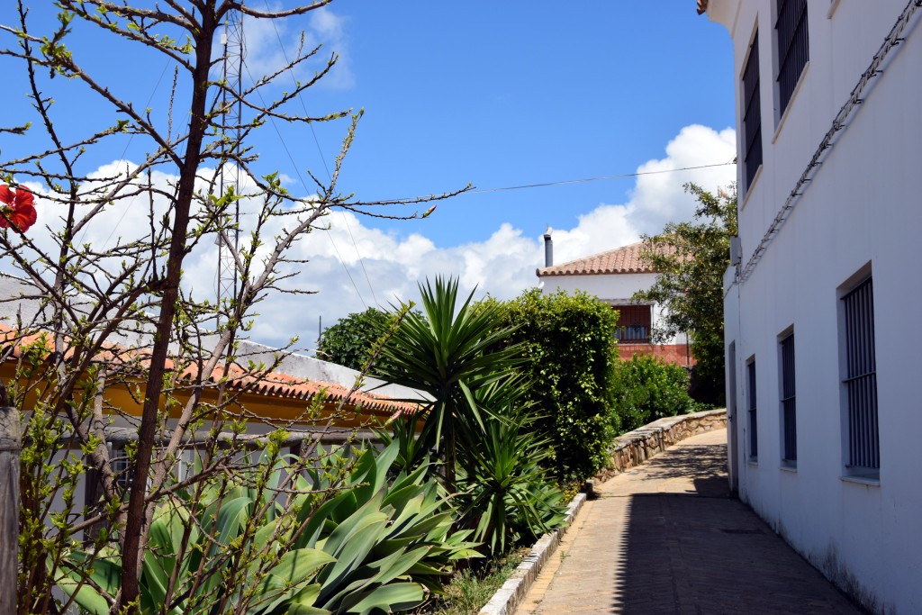 Foto de Facinas (Cádiz), España