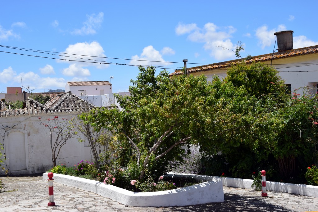 Foto de Facinas (Cádiz), España