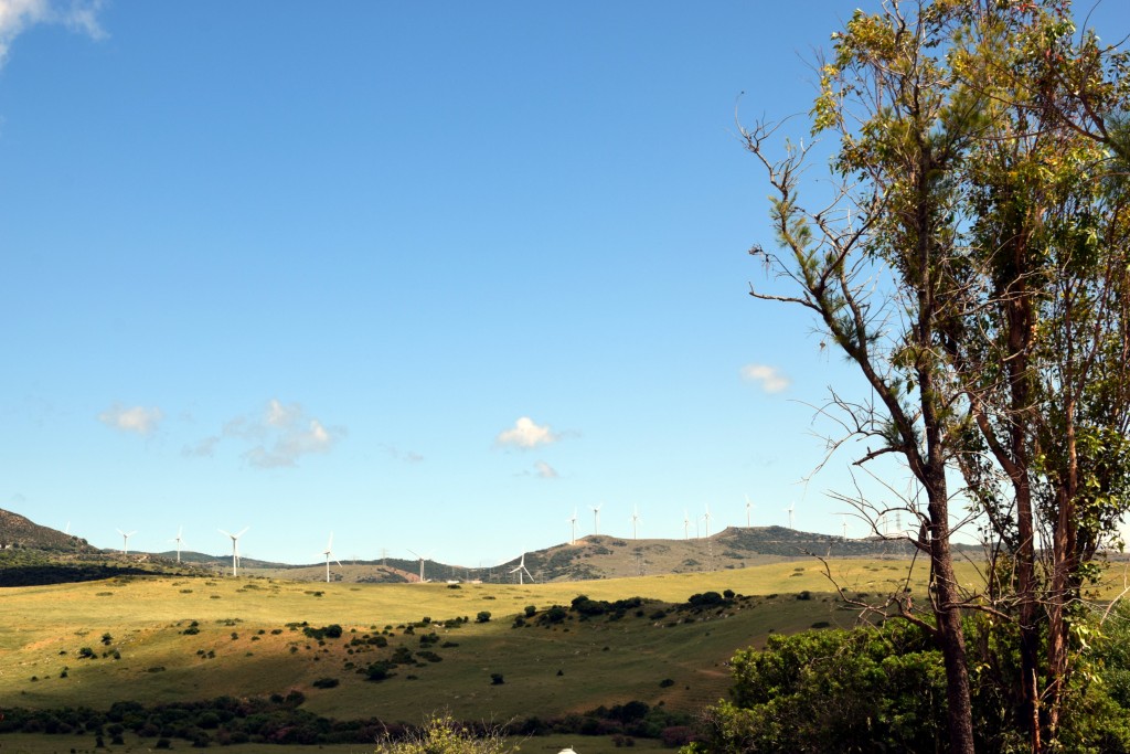 Foto de Facinas (Cádiz), España