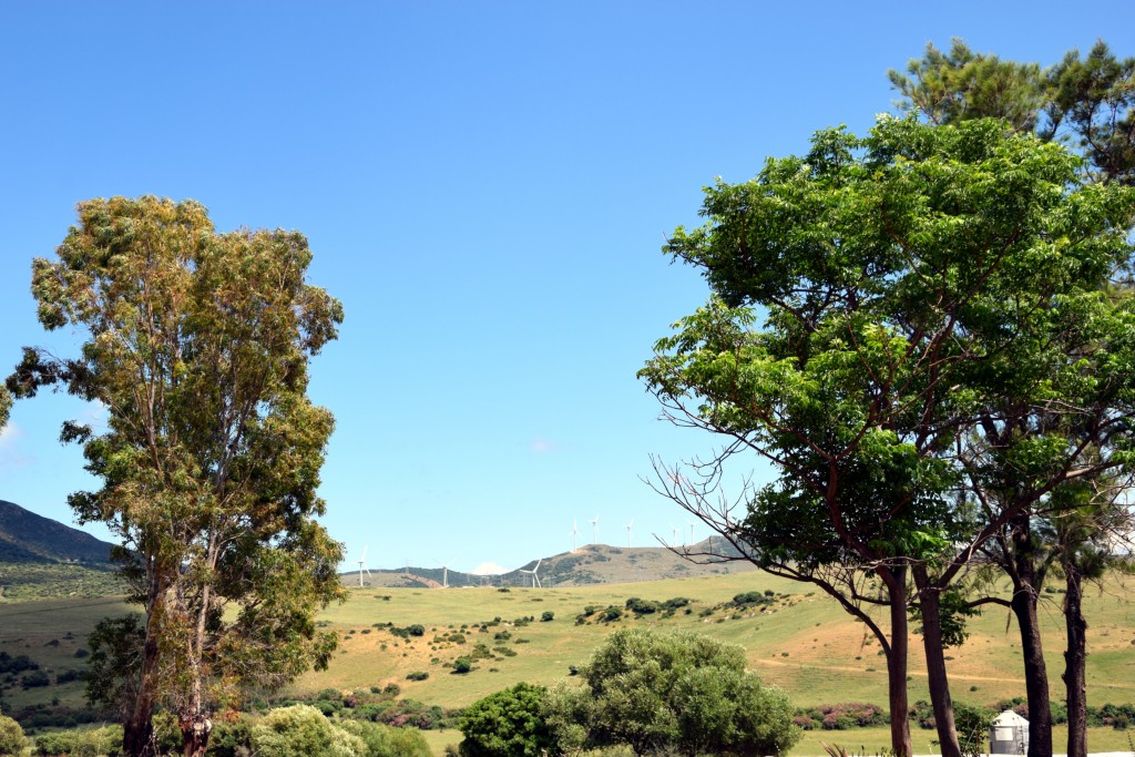 Foto de Facinas (Cádiz), España