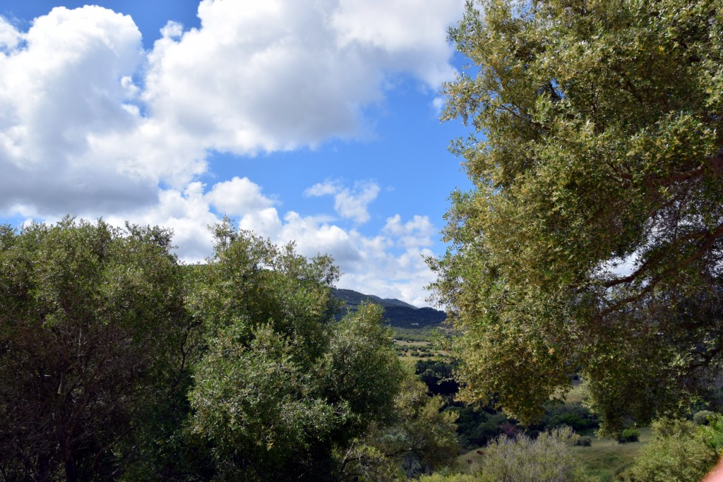 Foto de Facinas (Cádiz), España