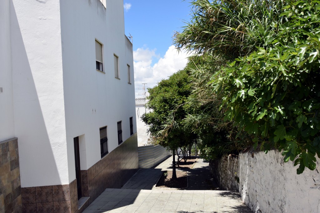 Foto de Facinas (Cádiz), España