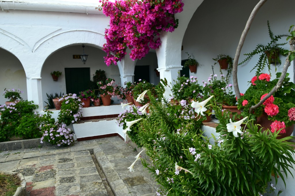 Foto de Facinas (Cádiz), España
