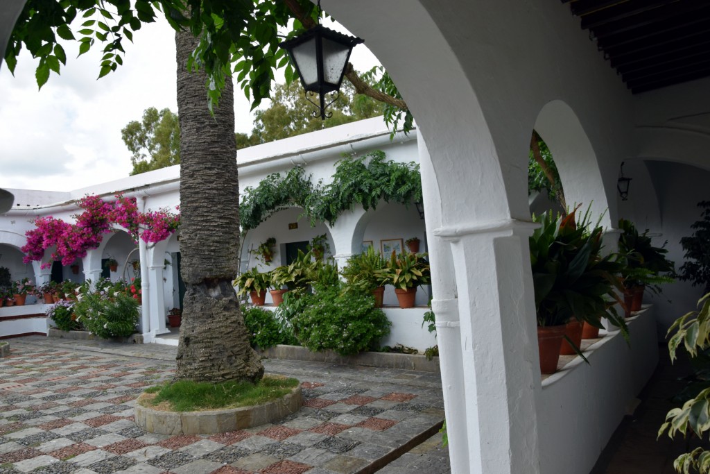 Foto de Facinas (Cádiz), España