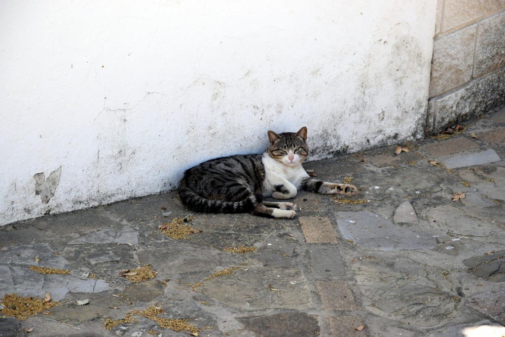 Foto de Facinas (Cádiz), España