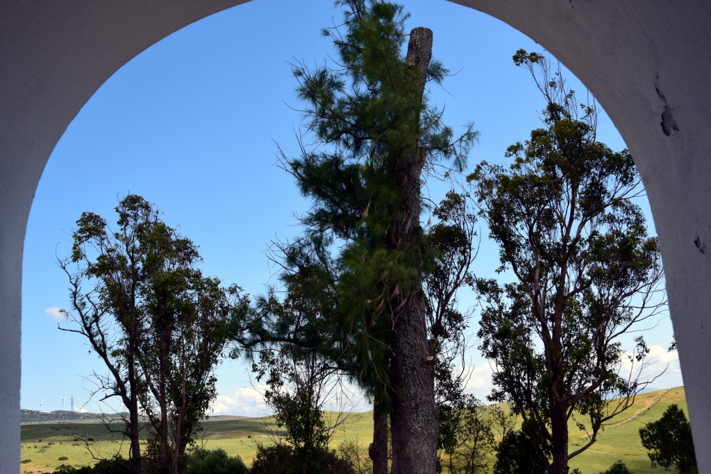 Foto de Facinas (Cádiz), España