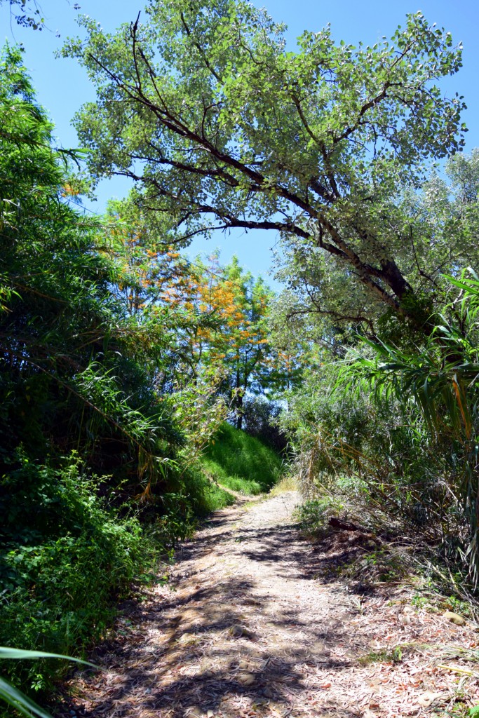 Foto de San Pablo de Buceite (Cádiz), España