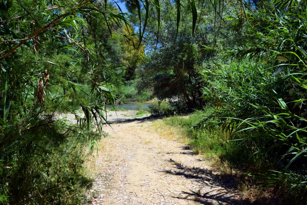 Foto de San Pablo de Buceite (Cádiz), España