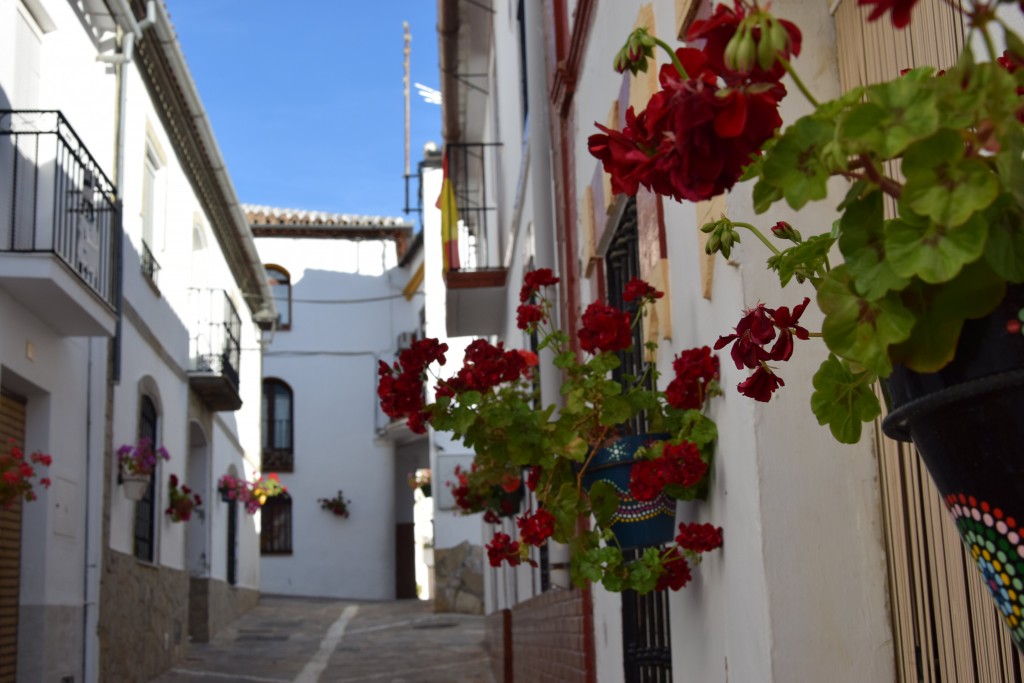 Foto de Jemera de Libar (Málaga), España