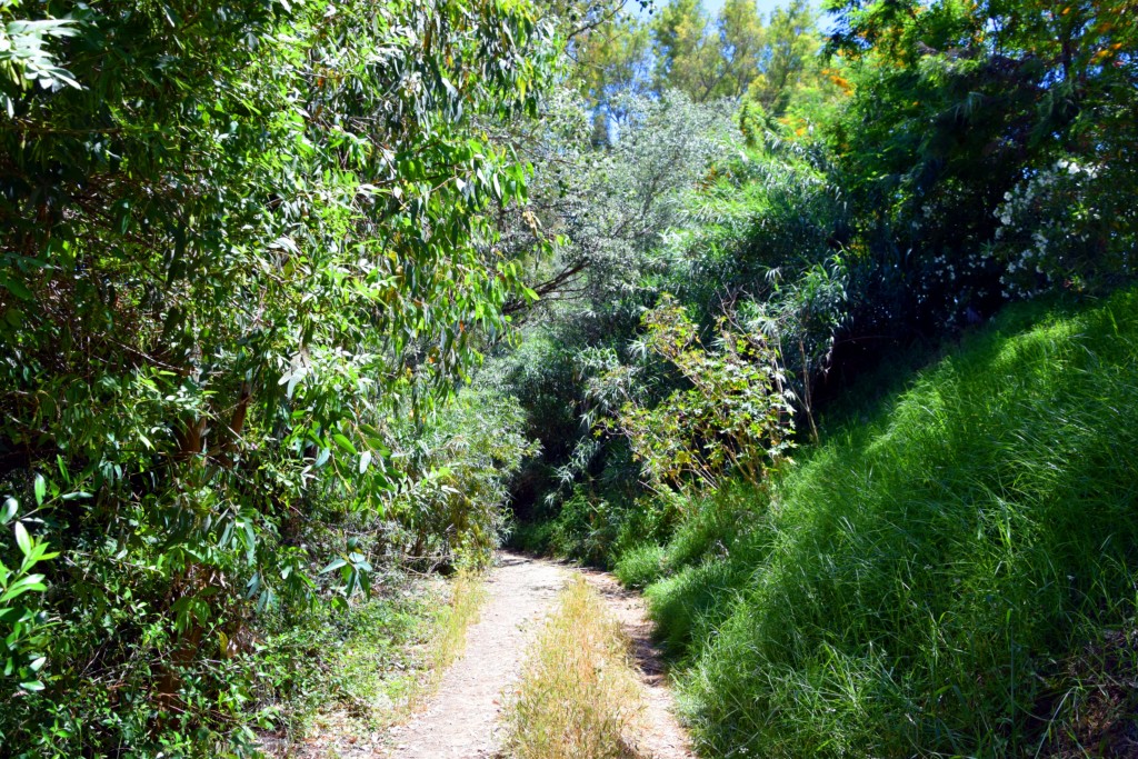 Foto de San Pablo de Buceite (Cádiz), España