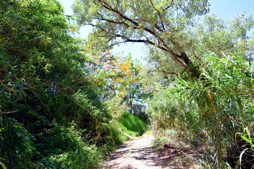 Foto de San Pablo de Buceite (Cádiz), España