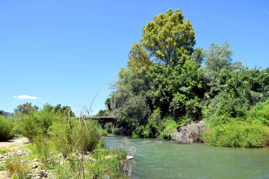 Foto de San Pablo de Buceite (Cádiz), España