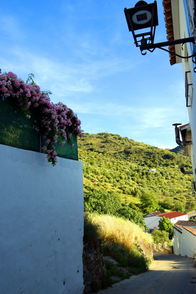 Foto de Jemera de Libar (Málaga), España