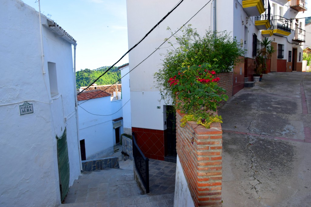 Foto: Calle Alba - Algatocín (Málaga), España
