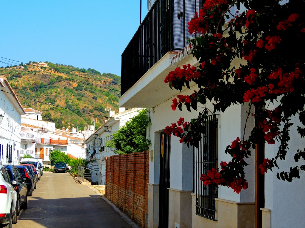 Foto: Calle Antonio Machado - Alozaina (Málaga), España