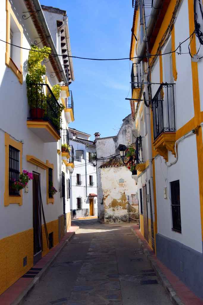 Foto: Calle Avenida Andalucía - Algatocín (Málaga), España