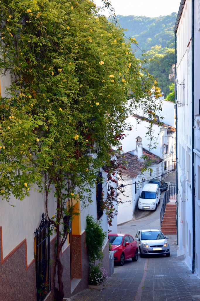Foto: Calle Bajada al Centro Médico - Algatocín (Málaga), España
