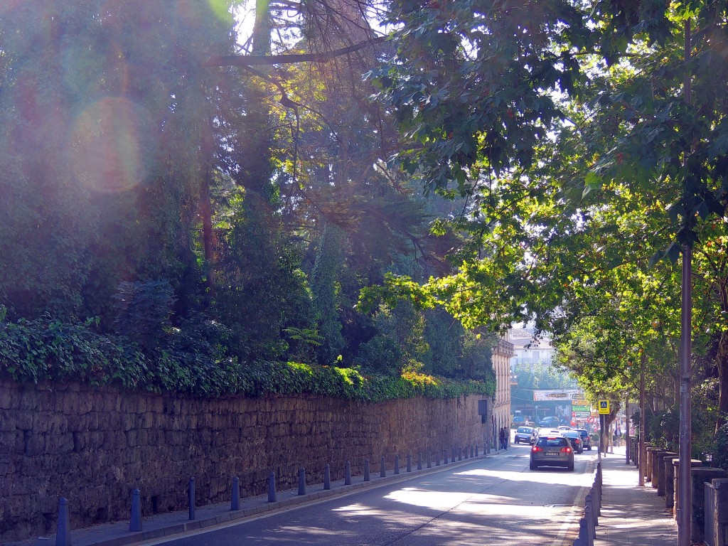 Foto: Calle Amigo Rodriguez de La Fuente - Cazorla (Jaén), España