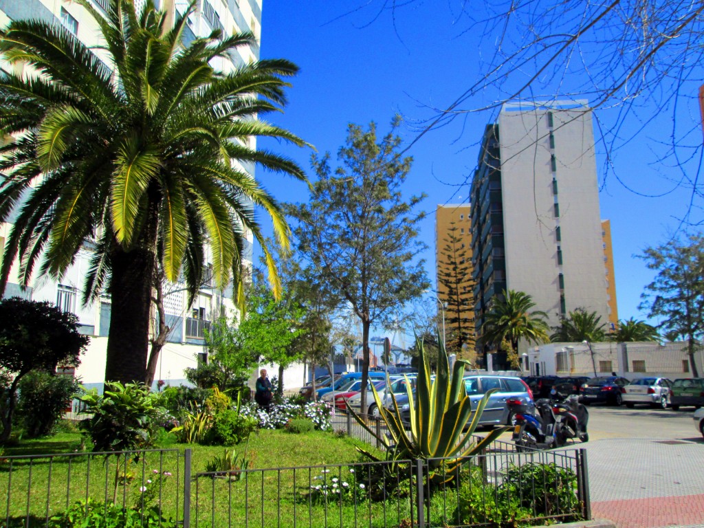 Foto: Calle Brigadier Tofiño - Cádiz (Andalucía), España