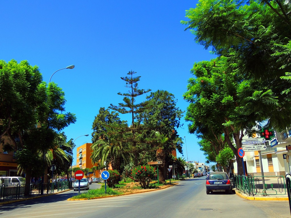 Foto: Avenida de Granada - Chipiona (Cádiz), España