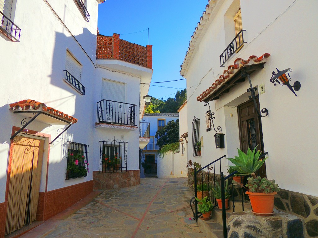 Foto: Calle Carnicería - Benadalid (Málaga), España