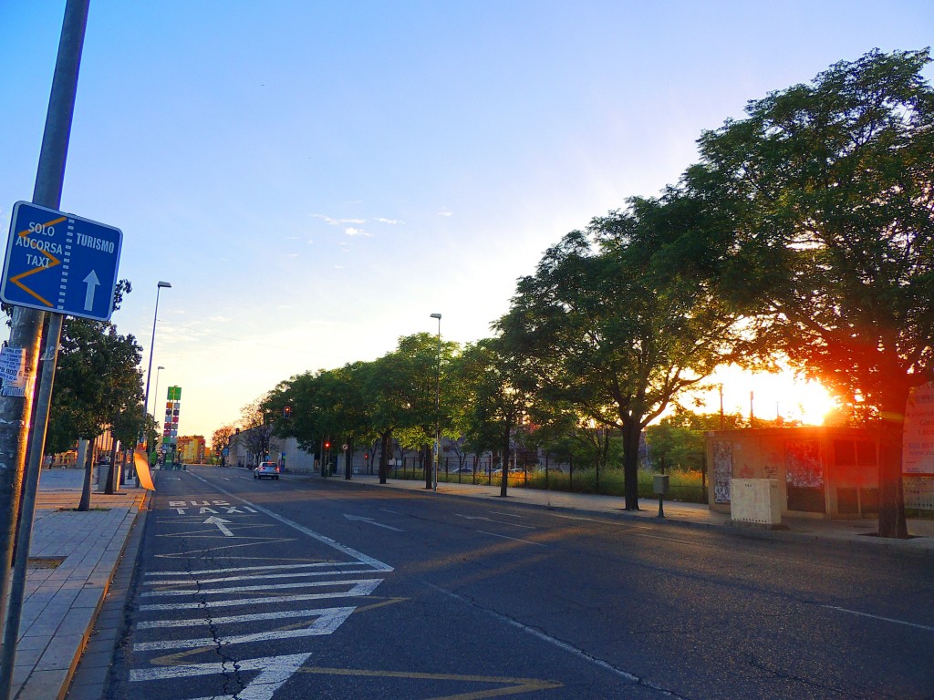 Foto: Avenida Vía Augusta - Córdoba (Andalucía), España