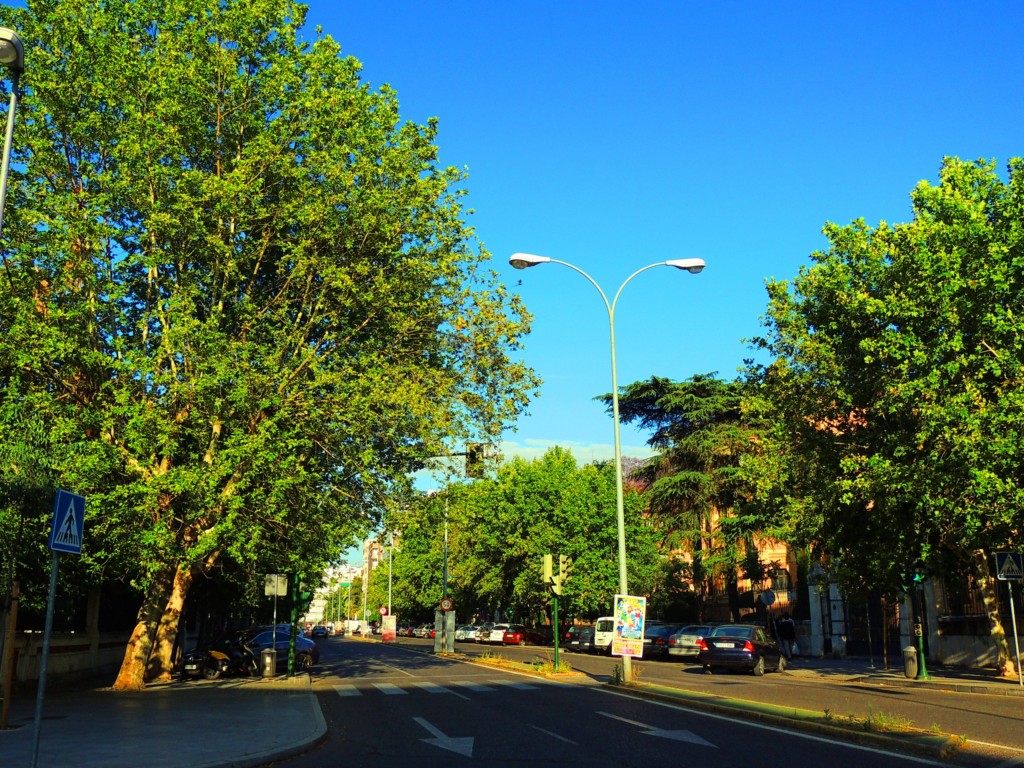 Foto: Avenida Medina Azahara - Córdoba (Andalucía), España