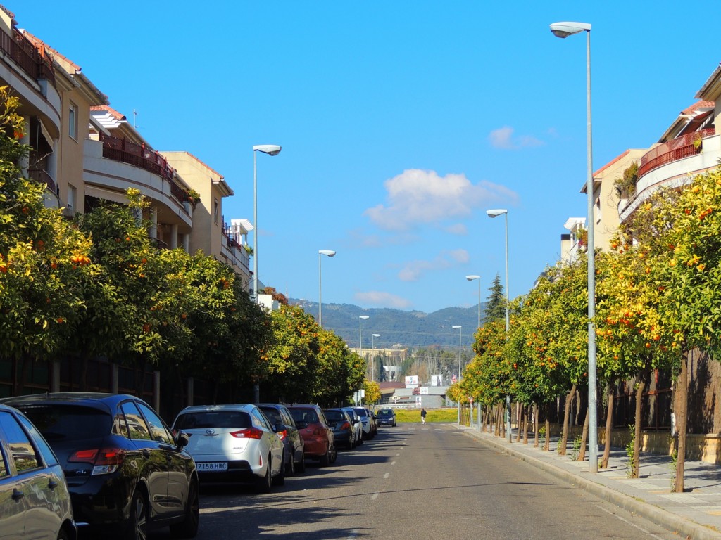 Foto: Calle Clara Campoamo - Córdoba (Andalucía), España