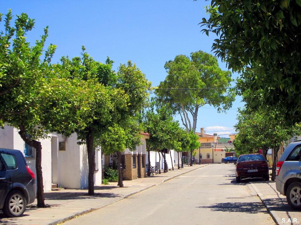 Foto: Calle Alamillo - El Torno (Cádiz), España