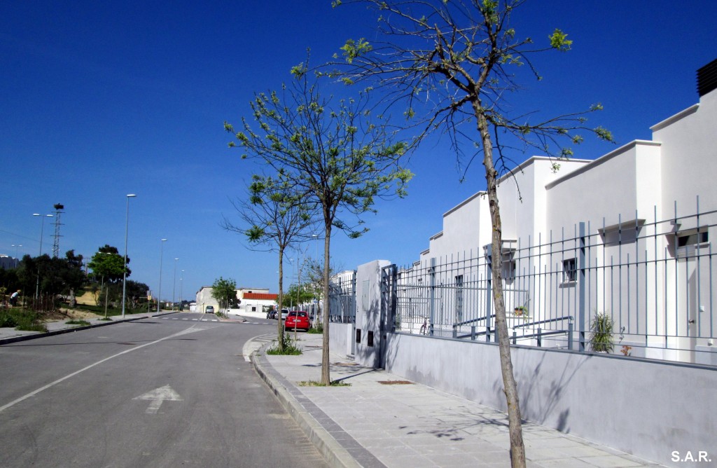 Foto: Calle Arroyo Salado de Caulina - El Portal (Cádiz), España