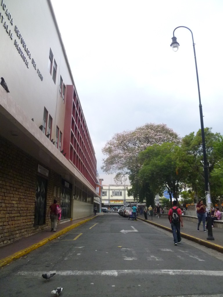 Foto de San Jose (San José), Costa Rica