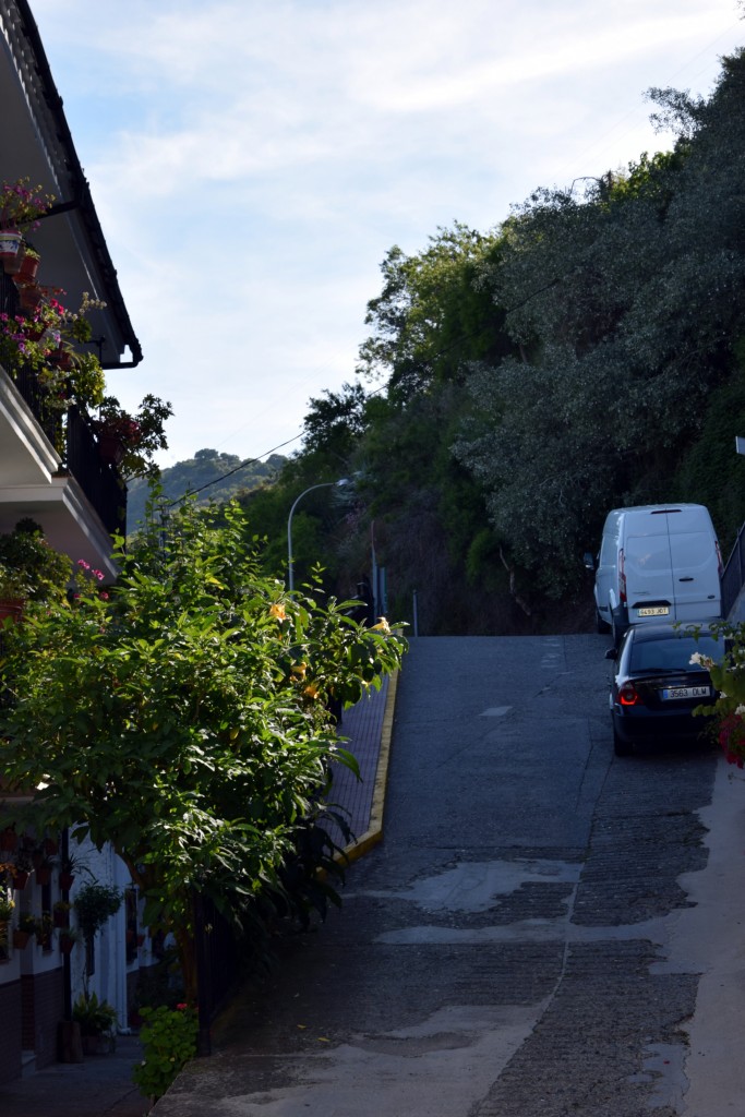 Foto de Algatocín (Málaga), España