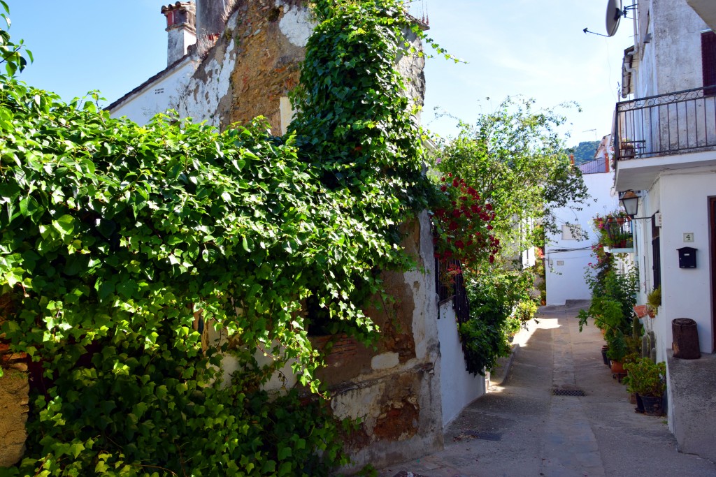 Foto de Algatocín (Málaga), España