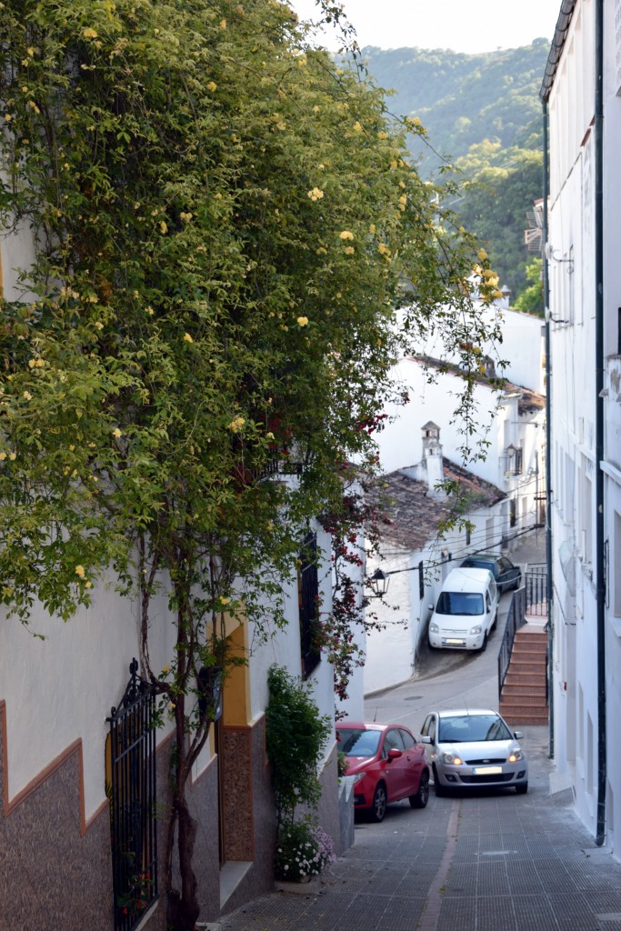 Foto de Algatocín (Málaga), España