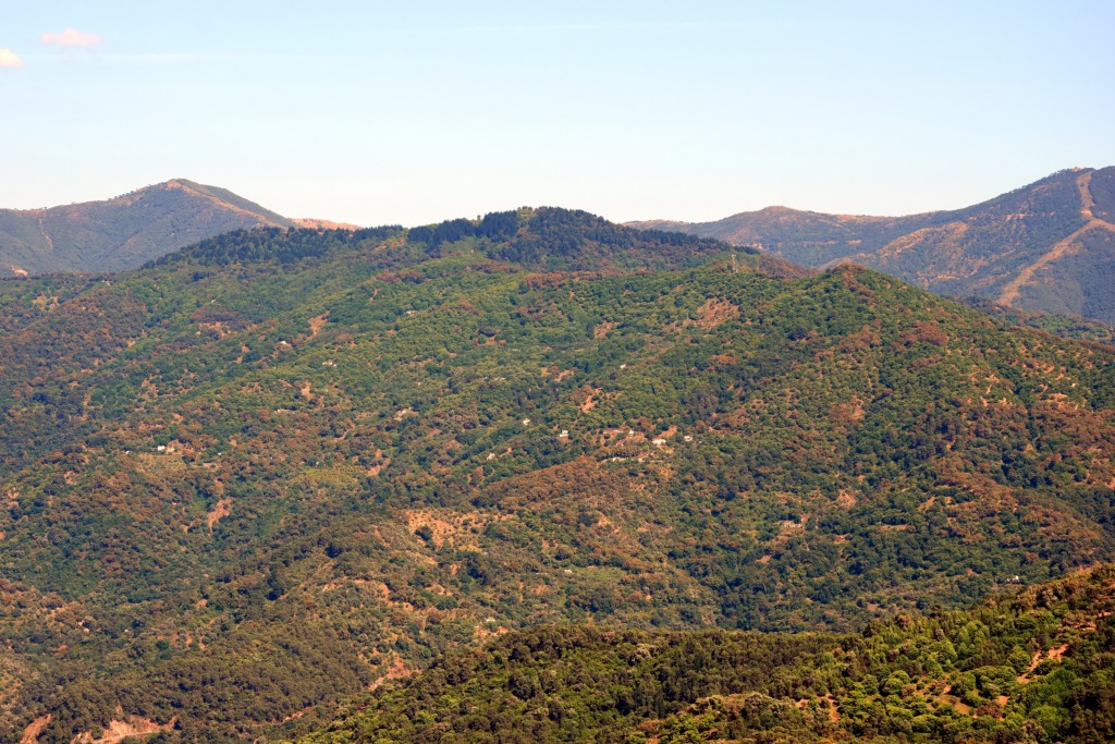 Foto de Algatocín (Málaga), España