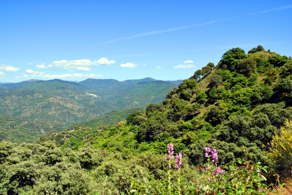 Foto de Algatocín (Málaga), España