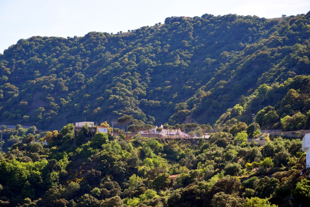 Foto de Algatocín (Málaga), España