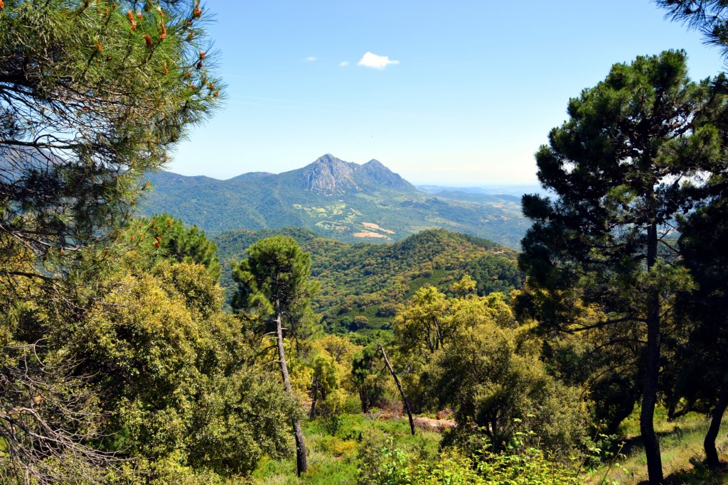 Foto de Algatocín (Málaga), España