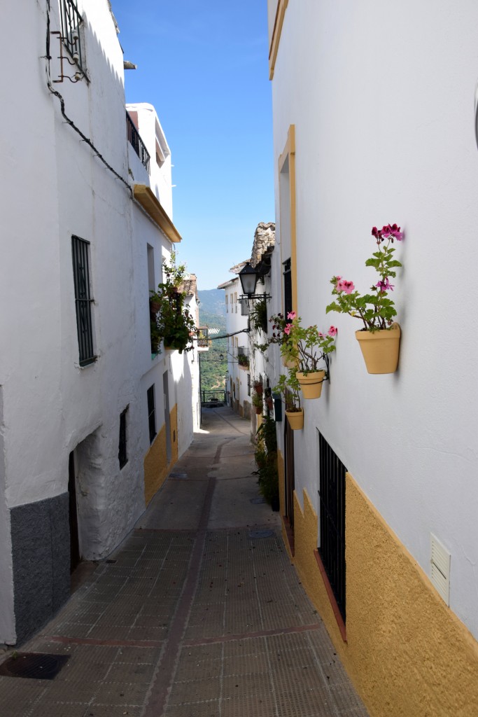 Foto de Algatocín (Málaga), España