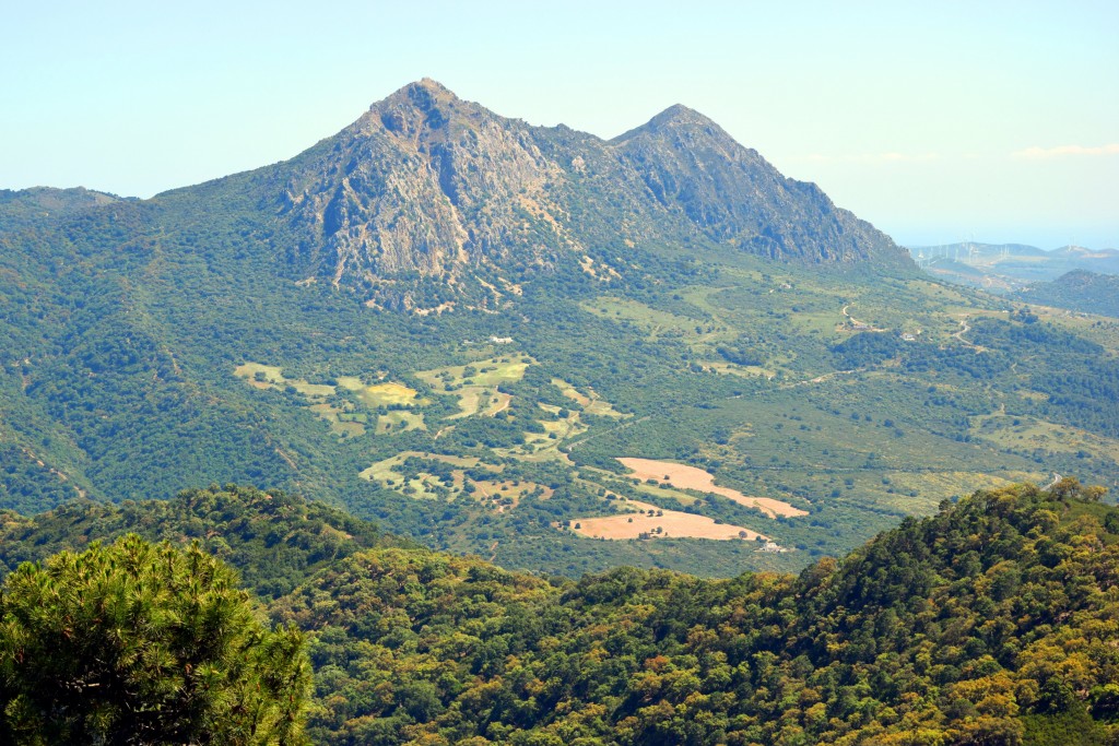 Foto de Algatocín (Málaga), España