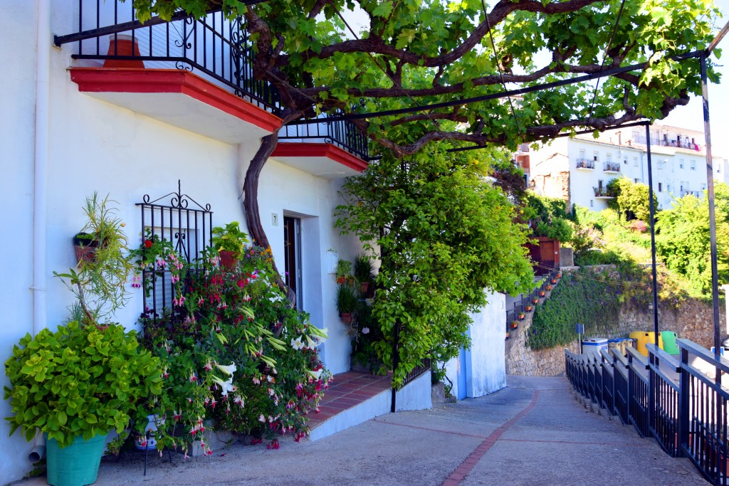 Foto de Algatocín (Málaga), España