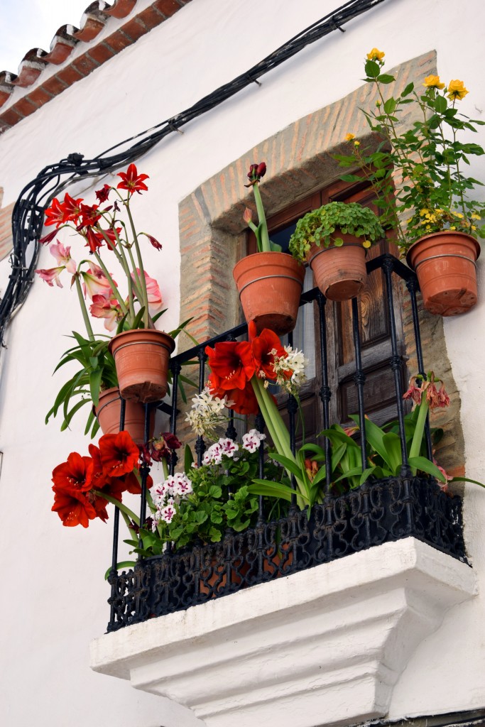 Foto de Algatocín (Málaga), España