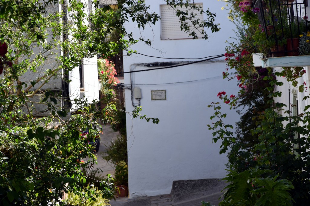 Foto de Algatocín (Málaga), España