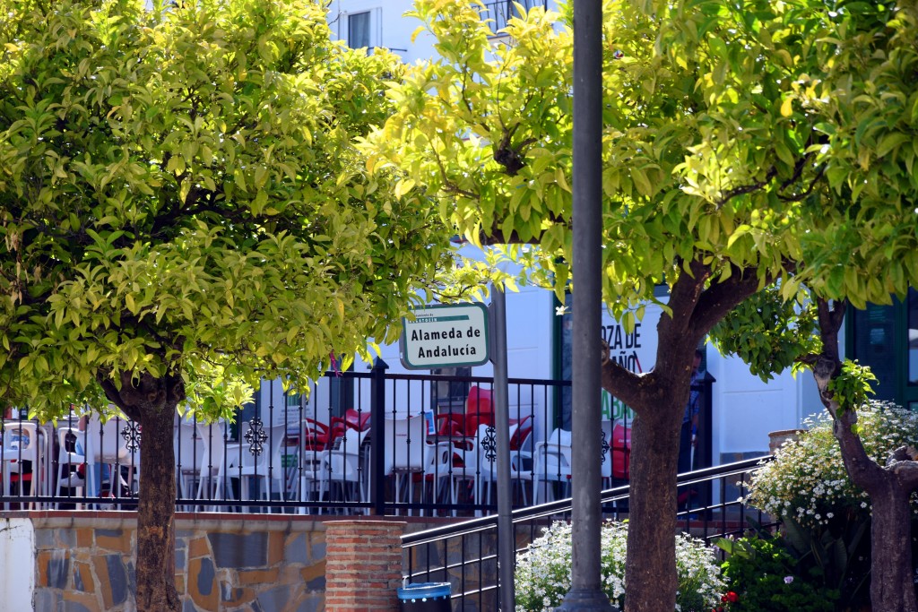 Foto de Algatocín (Málaga), España