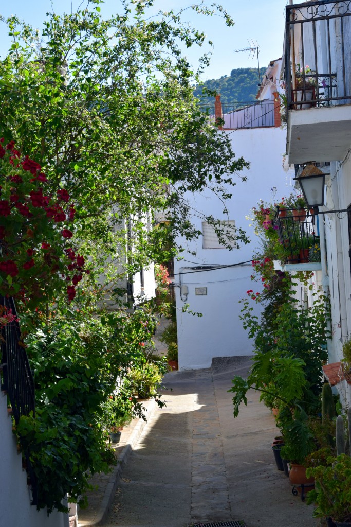 Foto de Algatocín (Málaga), España