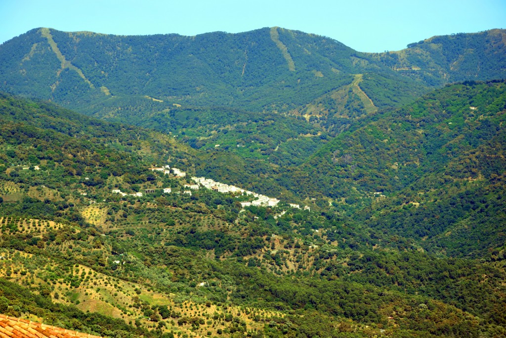 Foto de Algatocín (Málaga), España