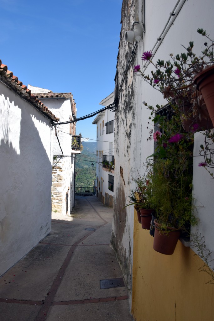 Foto de Algatocín (Málaga), España